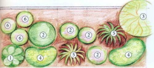 Готовые схемы цветников для начинающих. Схемы простых клумб для начинающих