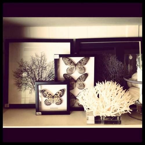 Бабочки в интерьере 07