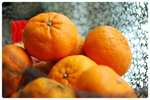 Картинки мандариновые деревья. Мандарин — ареал распространения, полезные свойства, противопоказания, домашние сорта + 95 фото