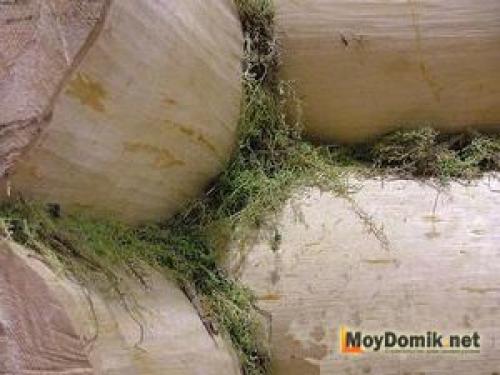 Какой материал использовали для заделывания щелей в бревенчатых домах. Как убрать щели между бревнами 11