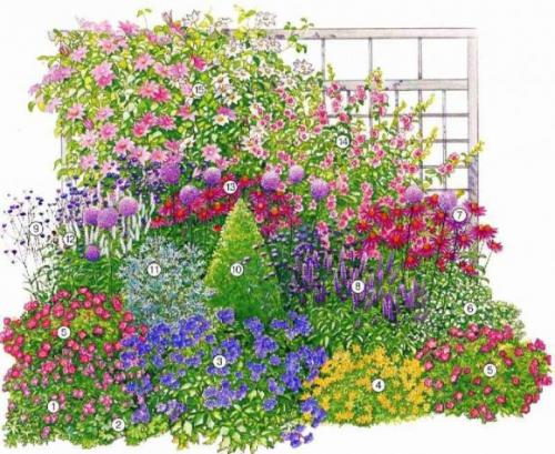 Миксбордер из кустарников и многолетников на фоне забора. Особенности планировки миксбордера 09