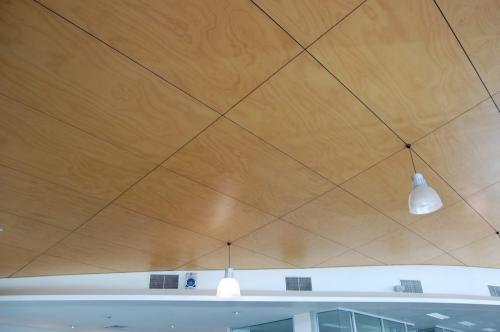 Потолок из фанеры в деревянном доме покрашенный. Потолок из фанеры: чем отделать и какая толщина, своими руками фото, подшивка и отделка, чем покрасить