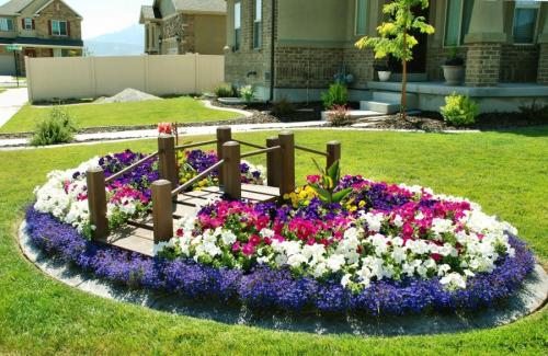 Цветник с многолетними травянистыми схема. Клумбы из многолетников: правила и особенности выращивания для новичков (85 фото)