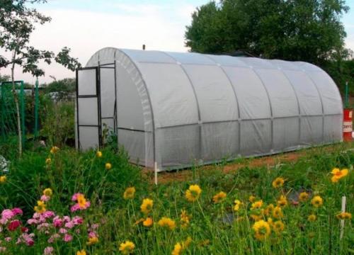 Как закрыть теплицу поликарбонатом своими руками. Правильный выбор поликарбоната при покупке 01