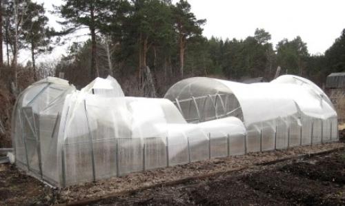 Как закрыть теплицу поликарбонатом своими руками. Правильный выбор поликарбоната при покупке 04