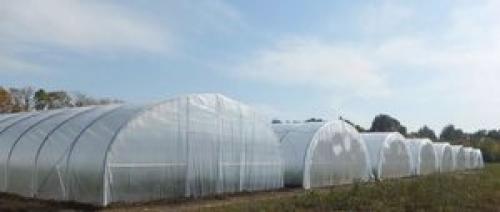 Как закрыть теплицу поликарбонатом своими руками. Правильный выбор поликарбоната при покупке 02