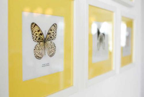 Яркий португальский дизайн от Maria Barros 18