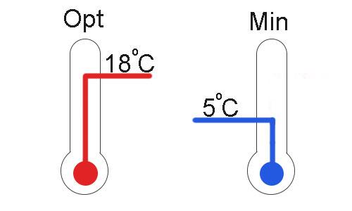 Нужно ли хранить остатки ламината. Правильные условия хранения ламината