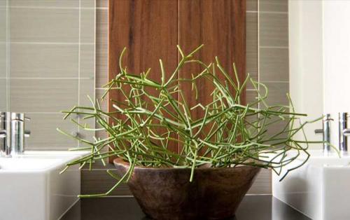 Дизайнеры в городе 16