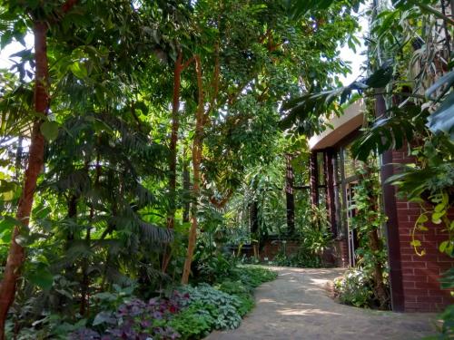 Сад непрерывного цветения брест. Ботанический сад в Бресте — Сад непрерывного цветения