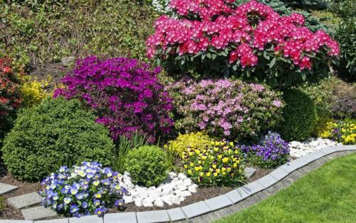 Сад непрерывного цветения. Как создать сад непрерывного цветения