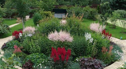 Сад непрерывного цветения. Как создать сад непрерывного цветения