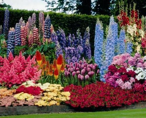 Сад непрерывного цветения. Как создать сад непрерывного цветения