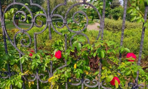 Сад непрерывного цветения брест. Ботанический сад в Бресте — Сад непрерывного цветения