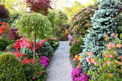 Сад непрерывного цветения. Как создать сад непрерывного цветения