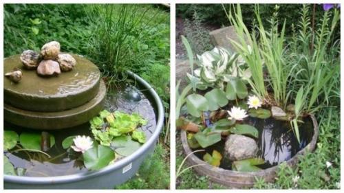 Мини пруд на даче. Водоем в миниатюре: дюжина простых идей