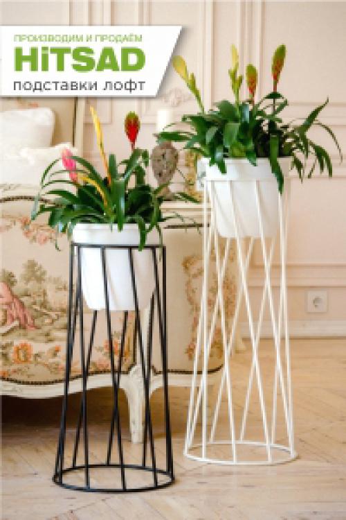 Мини пруд на даче. Водоем в миниатюре: дюжина простых идей