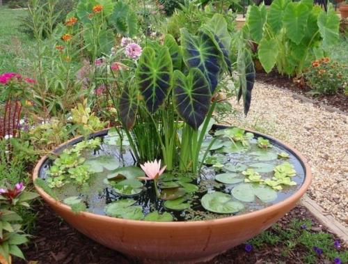 Мини пруд на даче. Водоем в миниатюре: дюжина простых идей