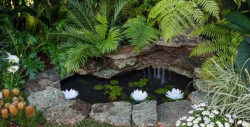 Строительство прудов и водоемов. Оптимальный размер и форма пруда на участке 03