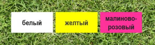 В какое время года лучше всего создавать миксбордер. Ландшафтный практикум: делаю солнечный миксбордер из устойчивых многолетников