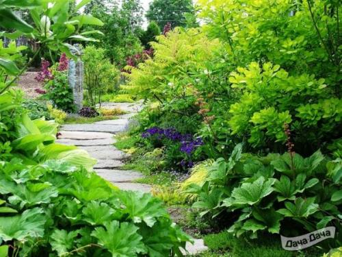 Схемы миксбордеров из многолетников: как создать красивый и долговечный сад 02