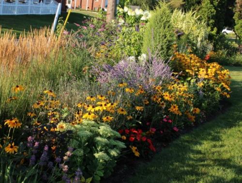Какие варианты миксбордеров с многолетниками требуют минимального ухода. Две тенденции в одном миксбордере
