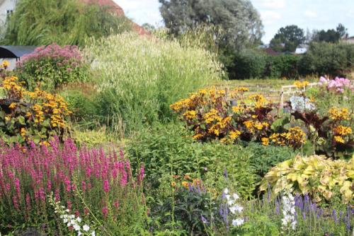 Как создать миксбордер, который будет выглядеть хорошо в любое время года. Ландшафтный практикум: делаю солнечный миксбордер из устойчивых многолетников