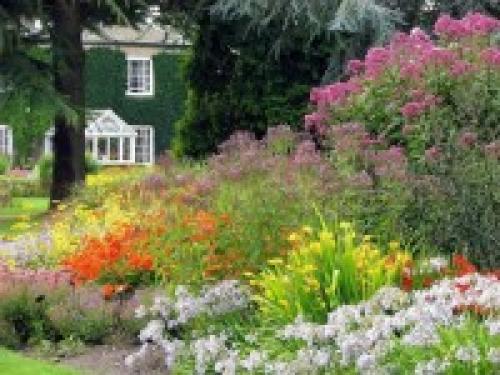 Какие растения лучше всего подходят для английского миксбордера в российском климате. Английский миксбордер