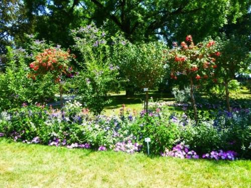 Насколько важно слоение в английском миксбордере и как его добиться. Главные действующие лица и их выбор