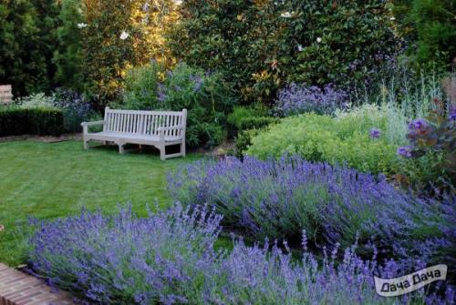 Миксбордеры из многолетников и декоративных: советы по созданию красивого сада 05