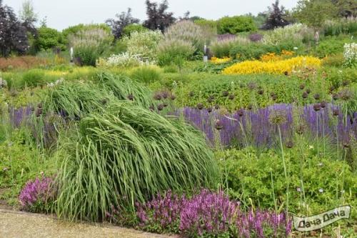 Миксбордеры из многолетников и декоративных: советы по созданию красивого сада 04