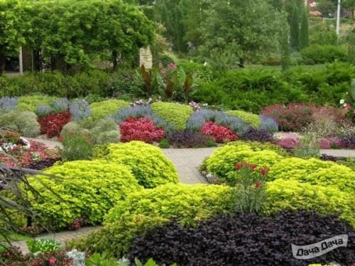 Миксбордеры из многолетников и декоративных: советы по созданию красивого сада 07