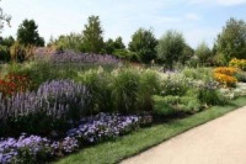 Какие растения лучше всего подходят для английского миксбордера в российском климате. Английский миксбордер