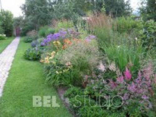 Какие растения лучше всего подходят для английского миксбордера в российском климате. Английский миксбордер