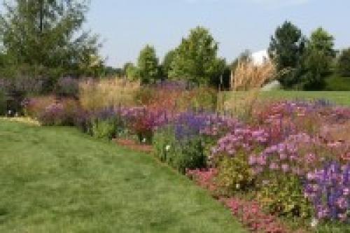 Какие растения лучше всего подходят для английского миксбордера в российском климате. Английский миксбордер