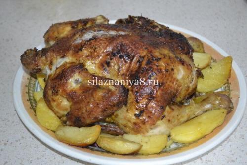 Как запечь курицу целиком в духовке. Как приготовить курицу целиком с хрустящей корочкой в духовке 24