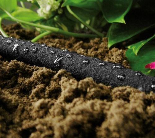 Капельный полив советы. Делюсь огородным опытом (капельный полив)