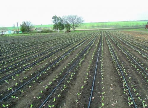 Калькулятор капельного полива. Как рассчитать капельное орошение