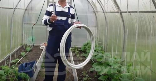 Капельный полив своими руками из подручных материалов. Как сделать капельный полив на даче быстро и недорого: 3 способа