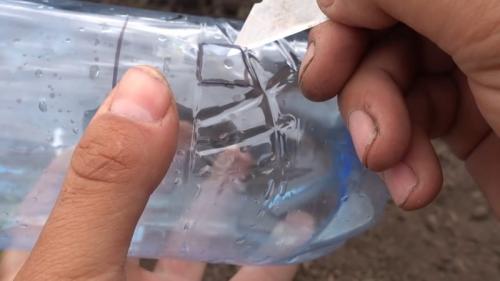 Капельный полив из бутылки - равномерный полив 30 дней. Отличный способ сделать простой капельный полив на 30 дней