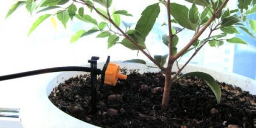 Капельный полив самотеком. Капельный полив самотёком: выбор оборудования и монтаж