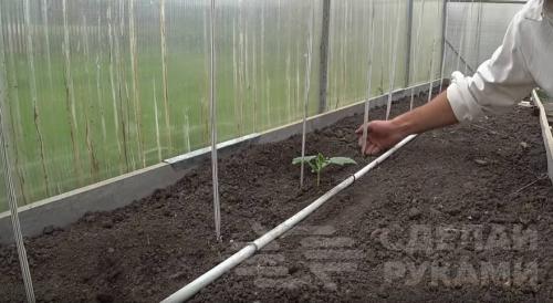 Капельный полив своими руками из подручных материалов. Как сделать капельный полив на даче быстро и недорого: 3 способа