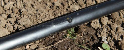 Капельный полив самотеком. Капельный полив самотёком: выбор оборудования и монтаж