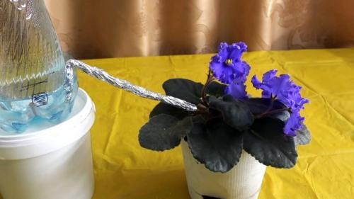 Капельный полив из пластиковых бутылок делаем своими руками. Процесс изготовления и установки капельного полива