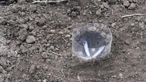 Капельный полив из пластиковых бутылок делаем своими руками. Процесс изготовления и установки капельного полива