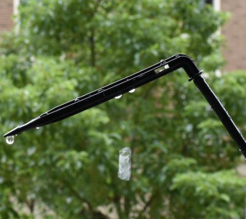 Капельный полив из шланга своими руками. Делюсь огородным опытом (капельный полив)