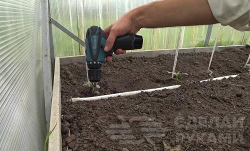 Капельный полив дома своими руками. Как сделать капельный полив на даче быстро и недорого: 3 способа