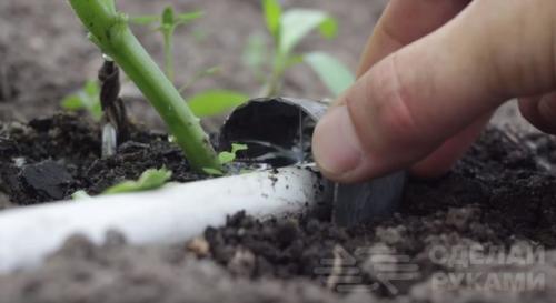 Капельный полив дома своими руками. Как сделать капельный полив на даче быстро и недорого: 3 способа