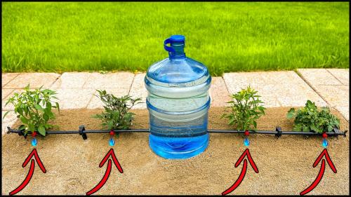 Капельный полив дома своими руками. Как сделать капельный полив на даче быстро и недорого: 3 способа