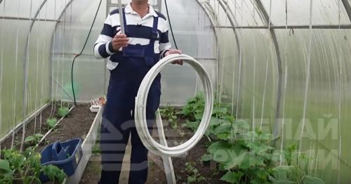 Капельный полив дома своими руками. Как сделать капельный полив на даче быстро и недорого: 3 способа